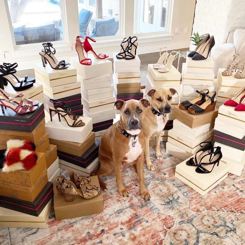 FOLLOW MY CUTE PAWSH ASSISTANTS! 🐶🐶🛍👑🐝 - Picture 3 of 16